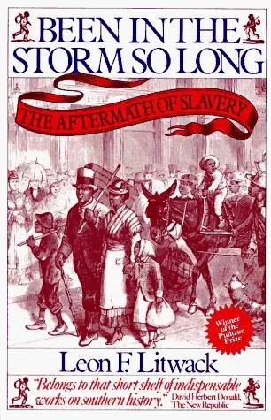 Been in the Storm So Long: The Aftermath of Slavery の書影