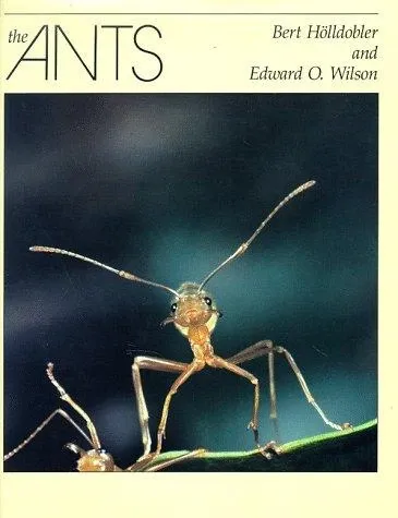The Ants の書影