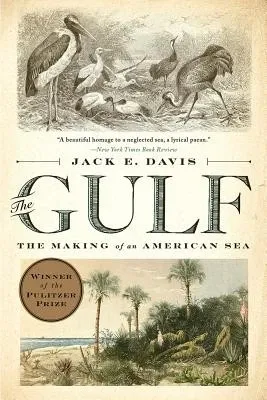 The Gulf: The Making of an American Sea の書影